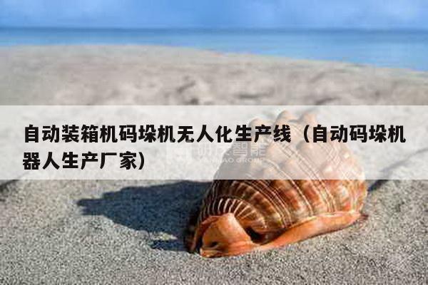 自動(dòng)裝箱機(jī)碼垛機(jī)無人化生產(chǎn)線（自動(dòng)碼垛機(jī)器人生產(chǎn)廠家）