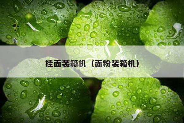 掛面裝箱機（面粉裝箱機）