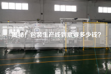 揭秘!包裝生產線到底要多少錢? 揭秘!包裝生產線到底要多少錢?