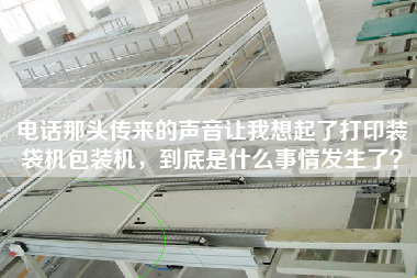 電話那頭傳來的聲音讓我想起了打印裝袋機包裝機，到底是什么事情發生了？