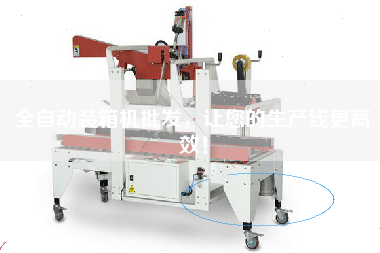 全自動裝箱機批發,讓您的生產線更高效! 全自動裝箱機批發,讓您的生產線更高效!