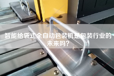 智能給袋式全自動包裝機是包裝行業的未來嗎