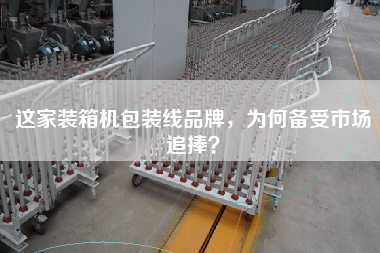 這家裝箱機包裝線品牌，為何備受市場追捧