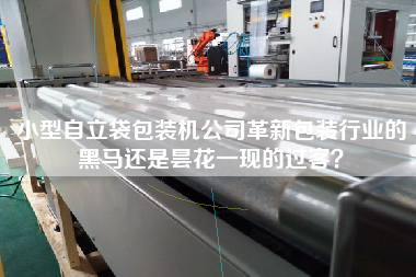 小型自立袋包裝機公司革新包裝行業的黑馬還是曇花一現的過客？