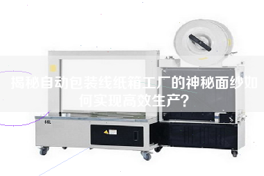 揭秘自動(dòng)包裝線紙箱工廠的神秘面紗如何實(shí)現(xiàn)高效生產(chǎn)