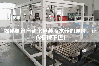 揭秘紙箱自動(dòng)化包裝流水線的現(xiàn)價(jià)，讓你驚掉下巴！
