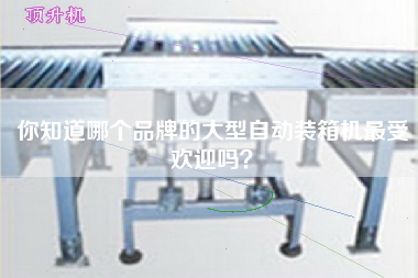 你知道哪個品牌的大型自動裝箱機最受歡迎嗎？