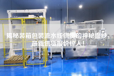 揭秘裝箱包裝流水線供貨的神秘面紗，最新供貨報價驚人！