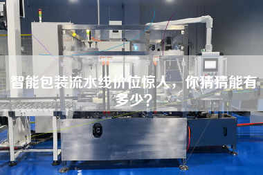 智能包裝流水線價位驚人，你猜猜能有多少？