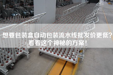 想要包裝盒自動包裝流水線批發價更低？看看這個神秘的方案！