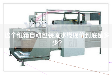 這個紙箱自動包裝流水線現價到底是多少