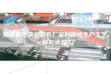 揭秘袋中袋包裝機廠家的神秘生產工藝，你知道嗎？