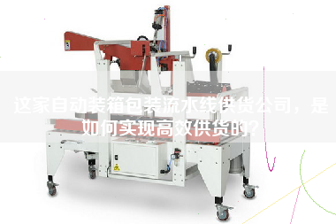 這家自動裝箱包裝流水線供貨公司，是如何實現高效供貨的？