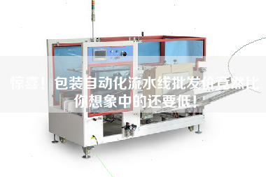 驚喜!包裝自動化流水線批發價竟然比你想象中的還要低! 驚喜!包裝自動化流水線批發價竟然比你想象中的還要低!