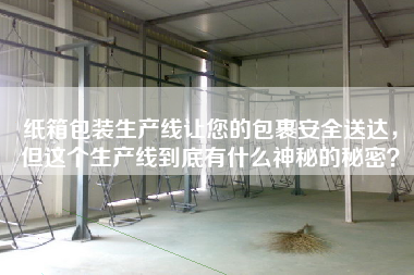 紙箱包裝生產(chǎn)線讓您的包裹安全送達，但這個生產(chǎn)線到底有什么神秘的秘密