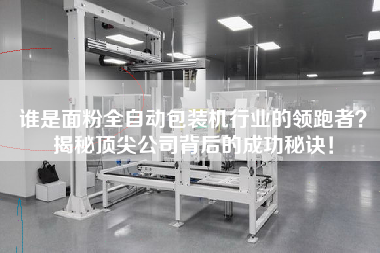 誰是面粉全自動包裝機行業的領跑者？揭秘頂尖公司背后的成功秘訣！