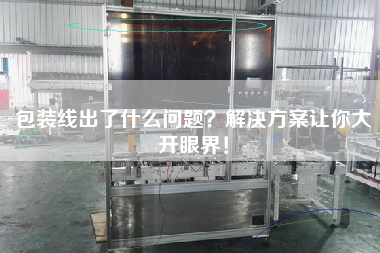 包裝線出了什么問題？解決方案讓你大開眼界！