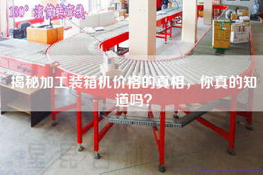 揭秘加工裝箱機價格的真相,你真的知道嗎? 揭秘加工裝箱機價格的真相,你真的知道嗎?