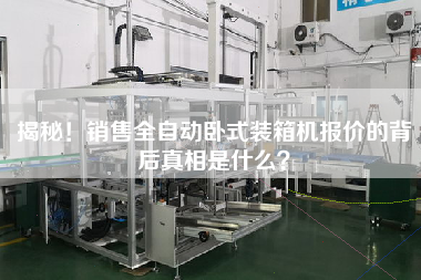 揭秘!銷售全自動臥式裝箱機報價的背后真相是什么
