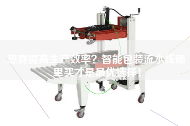 想要提高生產效率？智能包裝流水線哪里買才是最優選擇！