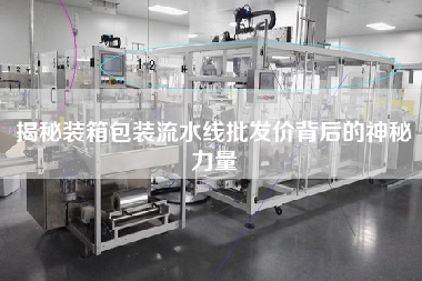 揭秘裝箱包裝流水線批發價背后的神秘力量 揭秘裝箱包裝流水線批發價背后的神秘力量