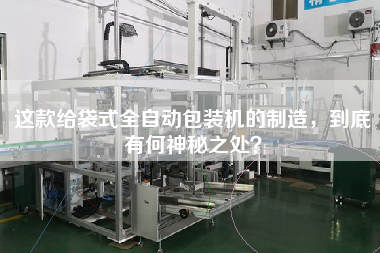 這款給袋式全自動包裝機的制造，到底有何神秘之處？
