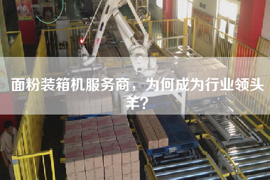 面粉裝箱機(jī)服務(wù)商，為何成為行業(yè)領(lǐng)頭羊