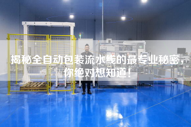 揭秘全自動包裝流水線的最專業秘密，你絕對想知道！