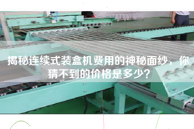 揭秘連續式裝盒機費用的神秘面紗，你猜不到的價格是多少