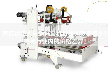 直接給袋式自動包裝機(jī)價格究竟是多少揭秘行業(yè)內(nèi)的價格差異！