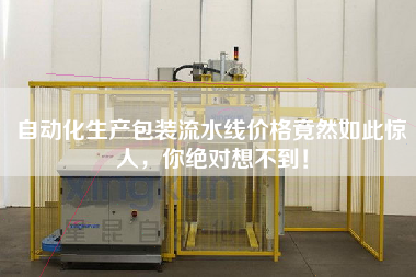 自動(dòng)化生產(chǎn)包裝流水線價(jià)格竟然如此驚人，你絕對(duì)想不到！