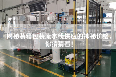揭秘裝箱包裝流水線供應的神秘價格,你猜猜看! 揭秘裝箱包裝流水線供應的神秘價格,你猜猜看!