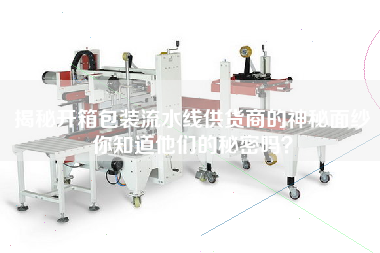 揭秘開箱包裝流水線供貨商的神秘面紗你知道他們的秘密嗎? 揭秘開箱包裝流水線供貨商的神秘面紗你知道他們的秘密嗎?