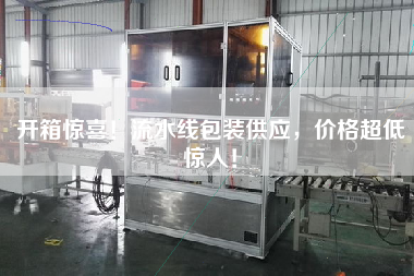 開箱驚喜!流水線包裝供應,價格超低驚人! 開箱驚喜!流水線包裝供應,價格超低驚人!