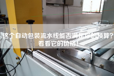 這個自動包裝流水線能否滿足你的預算？看看它的價格！