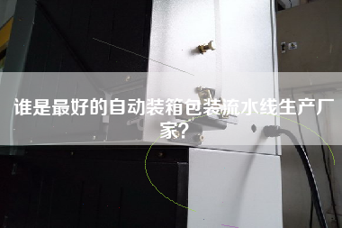誰是最好的自動裝箱包裝流水線生產廠家? 誰是最好的自動裝箱包裝流水線生產廠家?