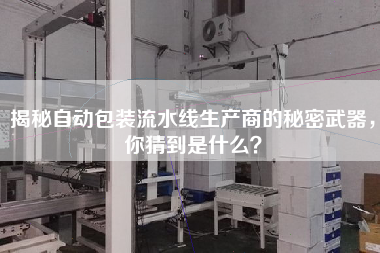 揭秘自動包裝流水線生產商的秘密武器，你猜到是什么？
