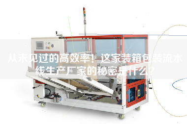 從未見過的高效率！這家裝箱包裝流水線生產廠家的秘密是什么？