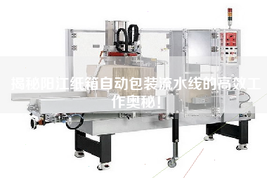 揭秘陽江紙箱自動包裝流水線的高效工作奧秘！