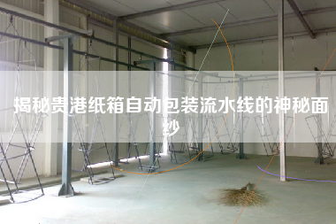 揭秘貴港紙箱自動(dòng)包裝流水線的神秘面紗