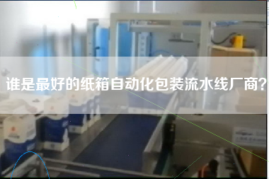 誰(shuí)是最好的紙箱自動(dòng)化包裝流水線廠商？