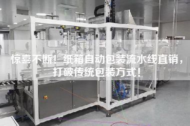 驚喜不斷！紙箱自動包裝流水線直銷，打破傳統包裝方式！
