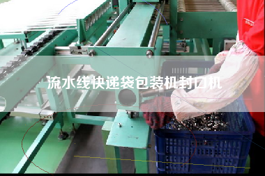 流水線快遞袋包裝機封口機