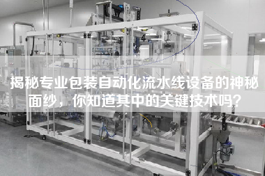 揭秘專業包裝自動化流水線設備的神秘面紗，你知道其中的關鍵技術嗎？