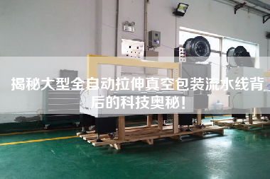 揭秘大型全自動(dòng)拉伸真空包裝流水線背后的科技奧秘!