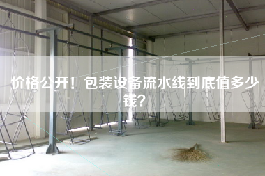 價格公開!包裝設備流水線到底值多少錢? 價格公開!包裝設備流水線到底值多少錢?
