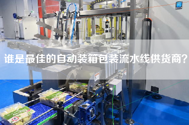 誰是最佳的自動裝箱包裝流水線供貨商