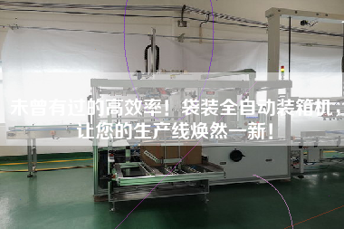 未曾有過的高效率！袋裝全自動裝箱機，讓您的生產線煥然一新！