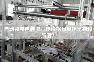 自動(dòng)裝箱包裝流水線價(jià)格昂貴還是物超所值? 自動(dòng)裝箱包裝流水線價(jià)格昂貴還是物超所值?