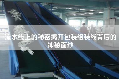 流水線上的秘密揭開包裝組裝線背后的神秘面紗